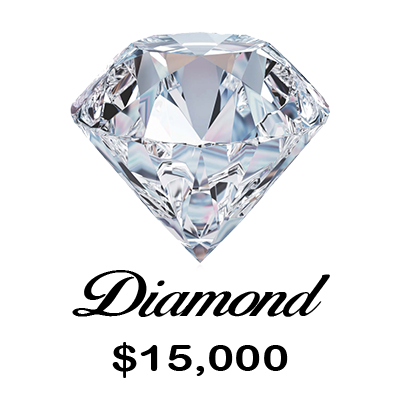 Diamond Partner Plan